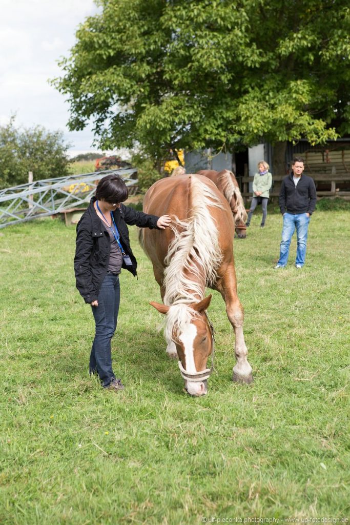 Interaktion mit Pferden - BUKO 2016 - Fotograf Ulf Pieconka - Würzburg